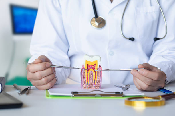Best Mobile Emergency Dentist in Madisonville, TX